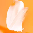 aW1hZ2U9L2dhbGxlcnktcGhvdG9zL0FSUHdTd3VNMTRMaXNxQVkxUjg5WVFSLVZ4ZXRpVHdOLmpwZyZ3aWR0aD04OTY=